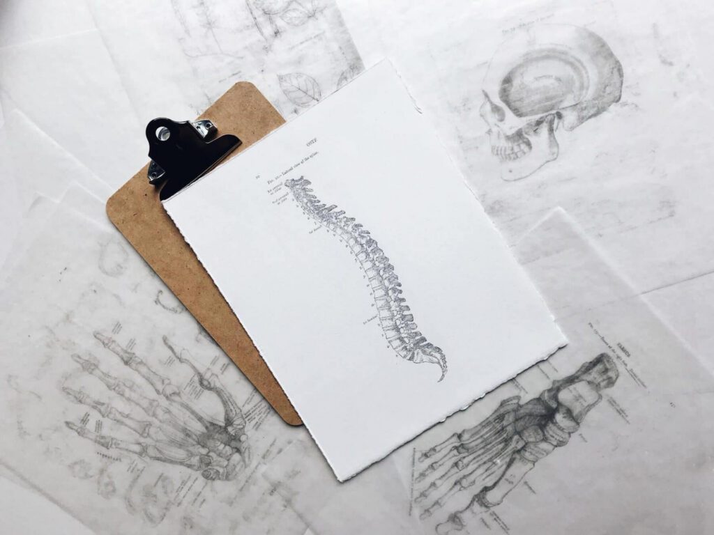 Clinic Blog 7 sciatica treatment Chiropractor Walsall Wood, Lichfield, Brownhills, Sutton Coldfield, Aldridge, Pelsall, Rushall, Bloxwich, Cannock, West Midlands